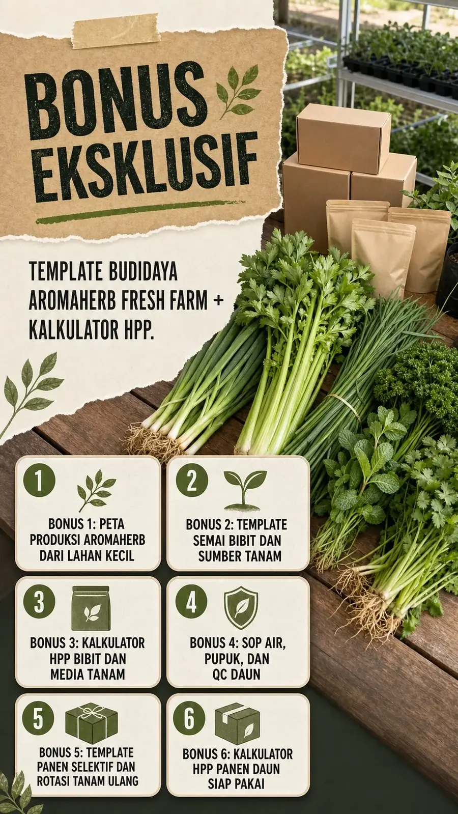 Aromaherb Fresh Farm section 6