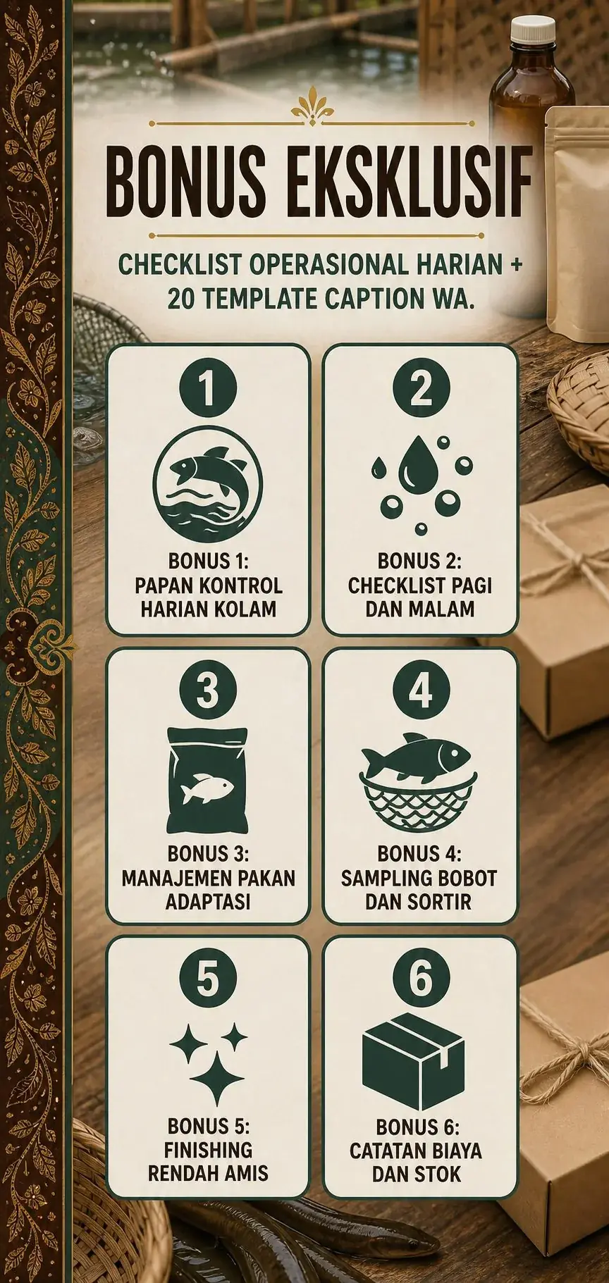 Bisnis Belut Bersih Tanpa Lumpur section 6