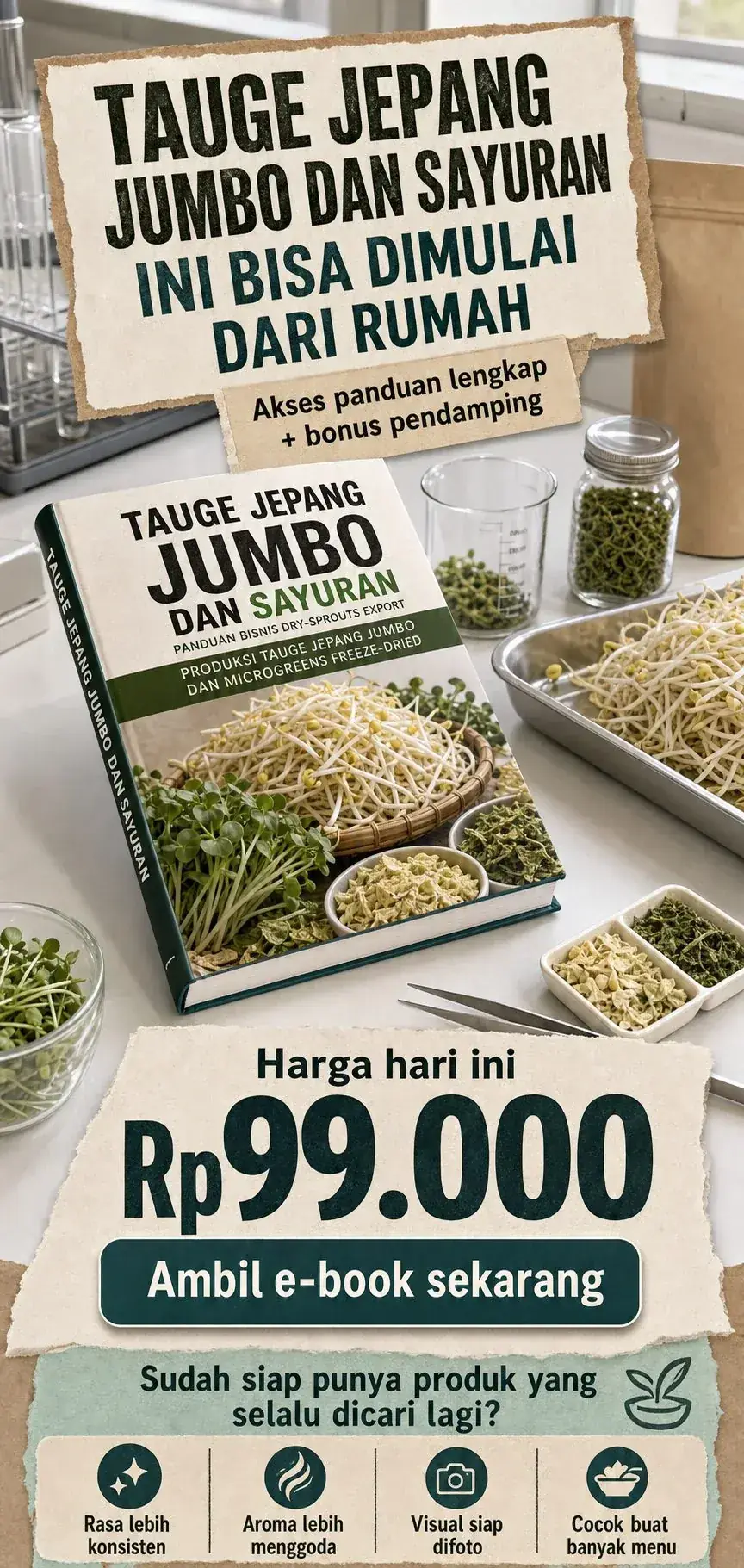 Bisnis Dry-Sprouts Export section 8