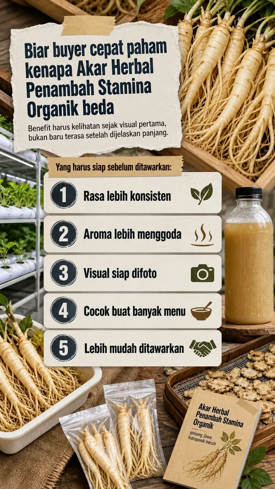 Bisnis Ginseng Jawa Hidroponik Bersih section 5