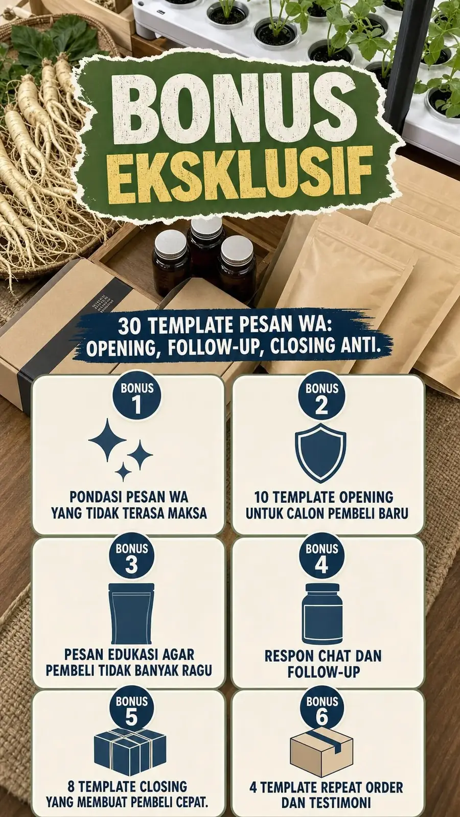 Bisnis Ginseng Jawa Hidroponik Bersih section 6