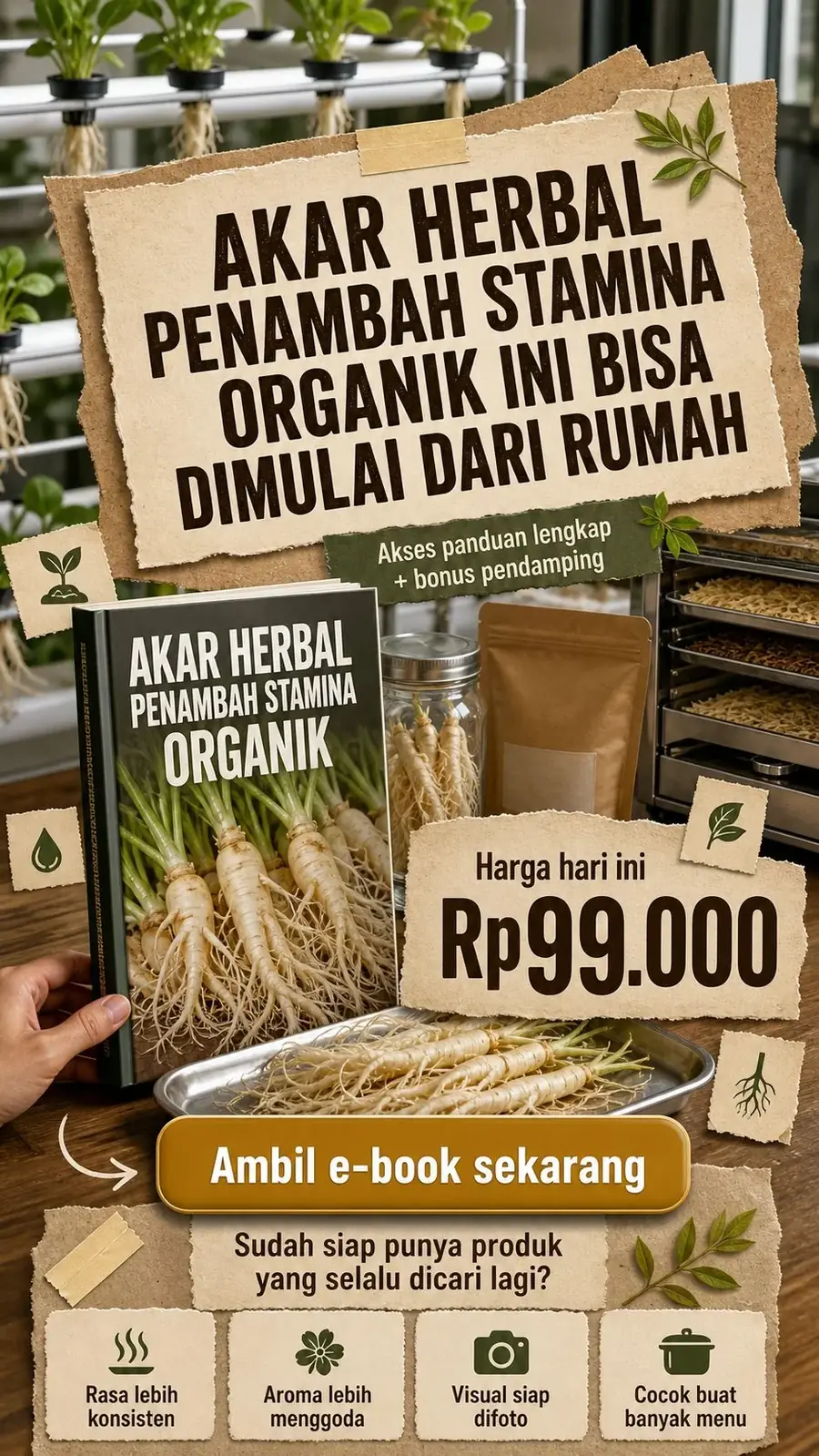 Bisnis Ginseng Jawa Hidroponik Bersih section 8