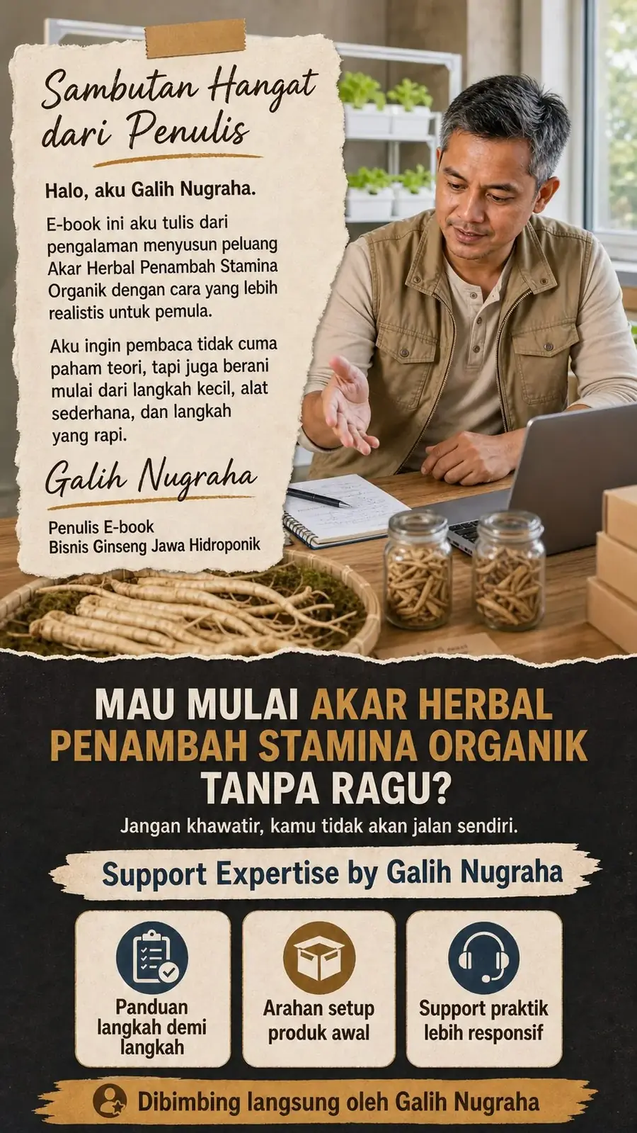 Bisnis Ginseng Jawa Hidroponik Bersih section 9