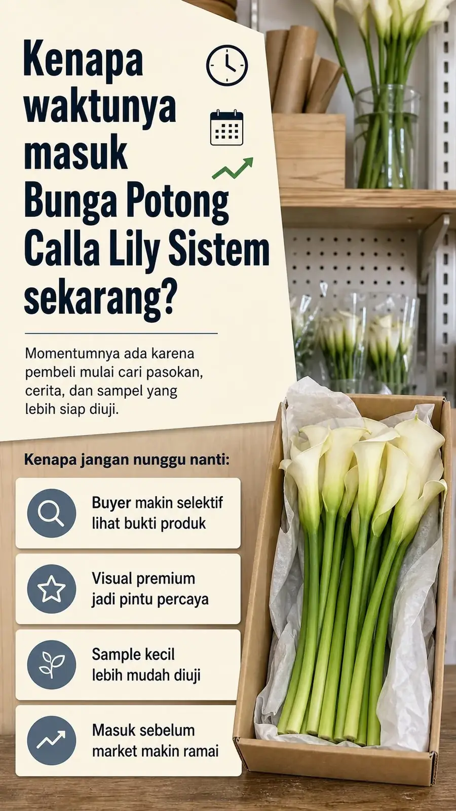 Calla Lily Water Farm section 3