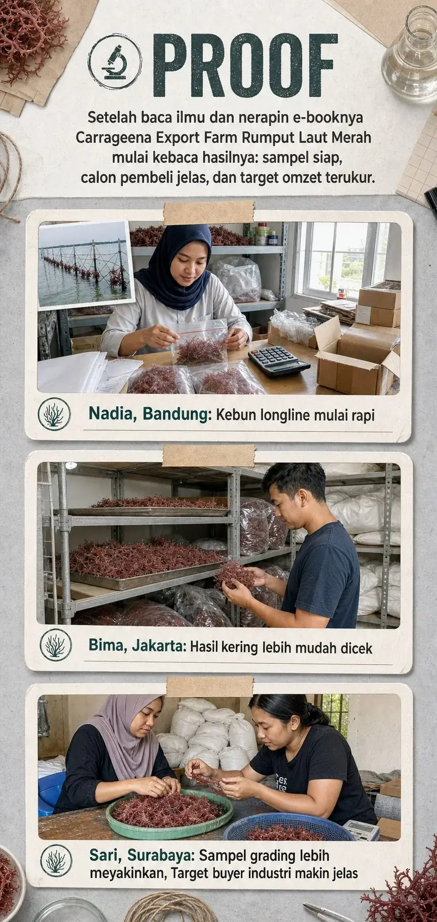 Carrageena Export Farm section 7