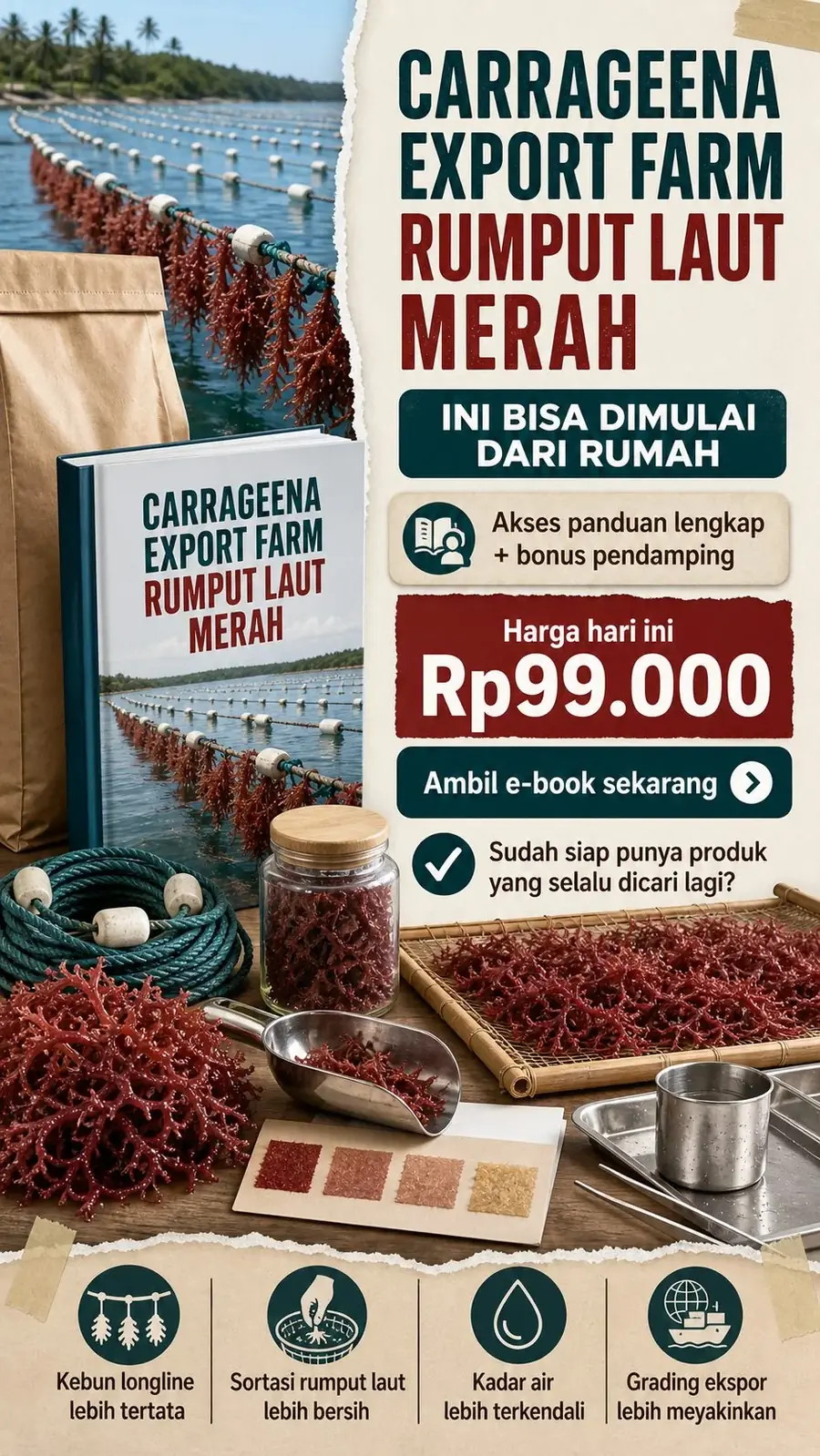 Carrageena Export Farm section 8