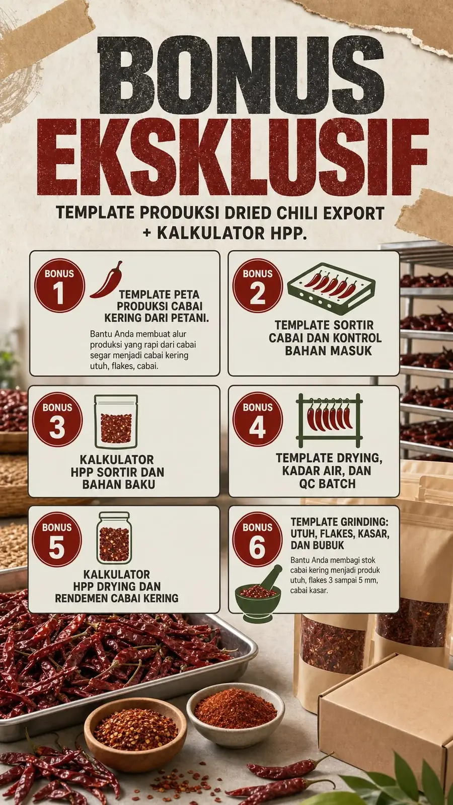 Dried Chili Export section 6