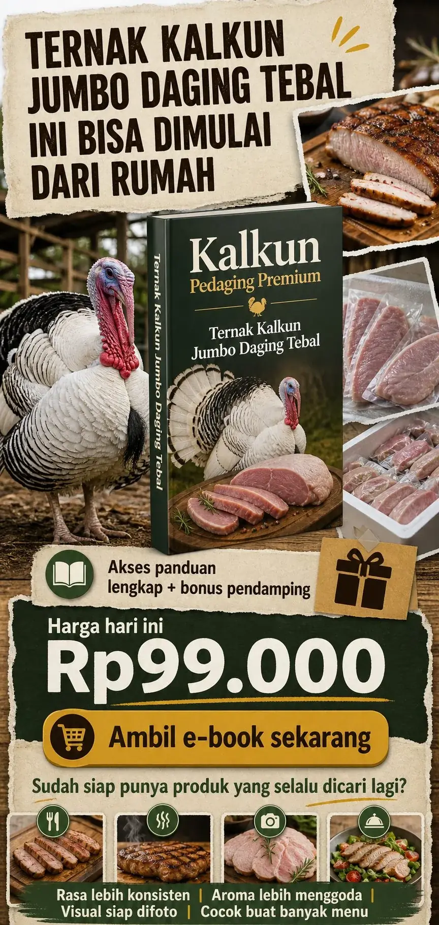 Kalkun Pedaging Premium section 8