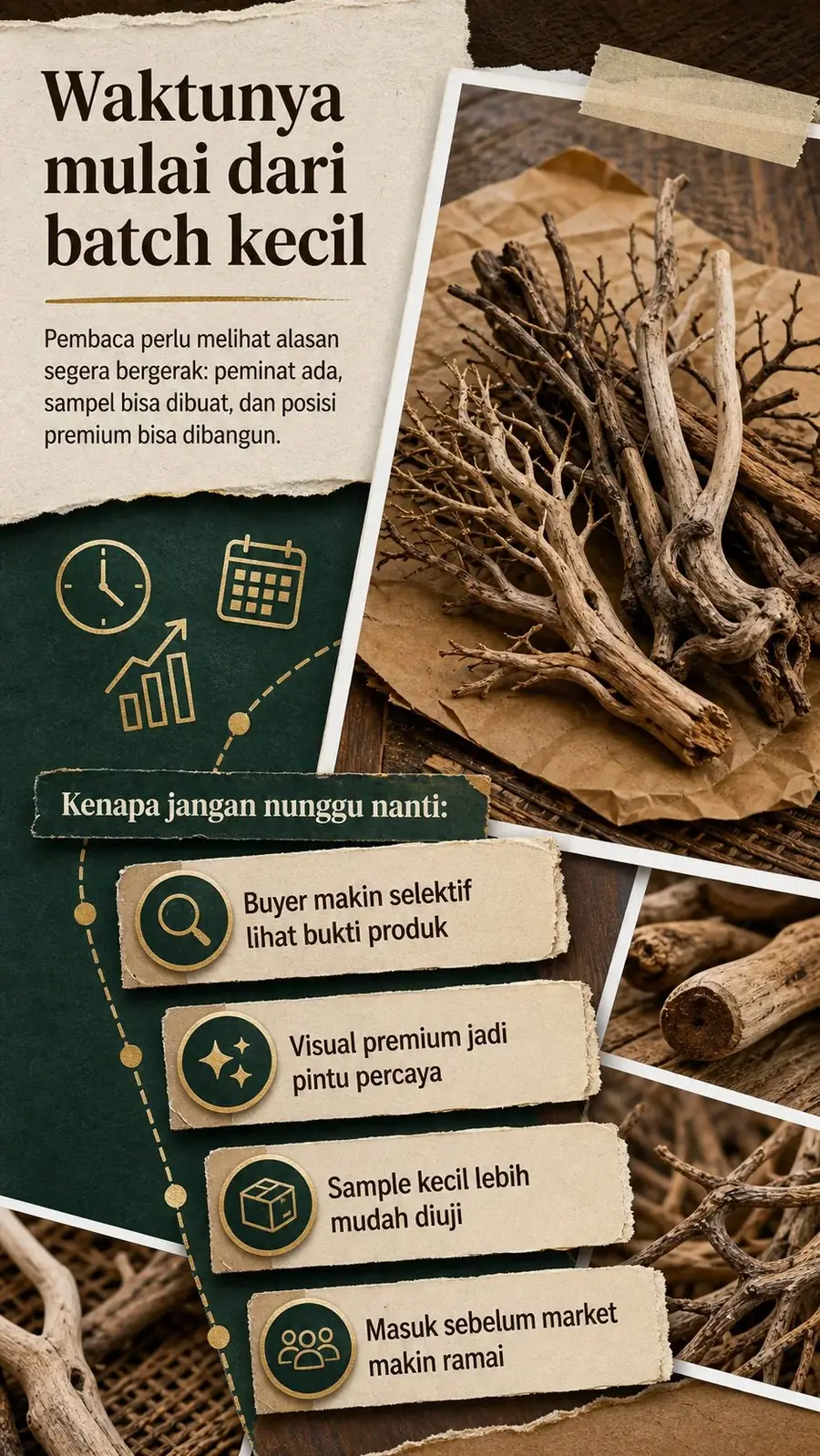 Natureform Export section 3